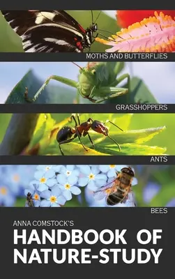 Le manuel d'étude de la nature en couleurs - Insectes - The Handbook Of Nature Study in Color - Insects