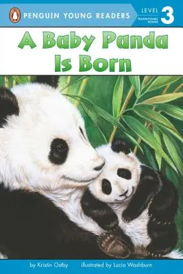 Un bébé panda est né - A Baby Panda Is Born