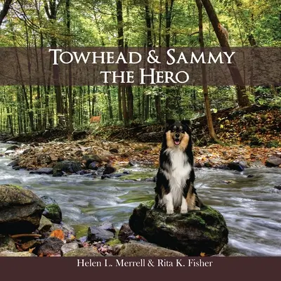 Towhead et Sammy Le héros - Towhead and Sammy The Hero