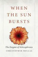 Quand le soleil éclate : L'énigme de la schizophrénie - When the Sun Bursts: The Enigma of Schizophrenia