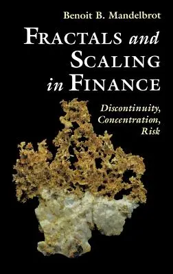 Fractales et échelles en finance : Discontinuité, concentration, risque. Selecta Volume E - Fractals and Scaling in Finance: Discontinuity, Concentration, Risk. Selecta Volume E