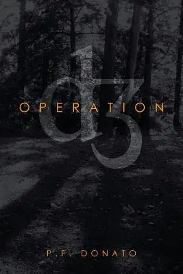Opération D3 - Operation D3