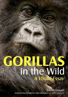 Les gorilles dans la nature : un essai visuel - Gorillas in the Wild: A Visual Essay