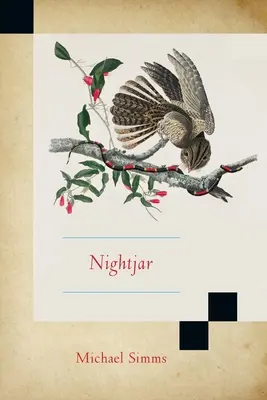 Engoulevent - Nightjar