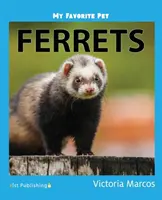 Mon animal de compagnie préféré : Les furets - My Favorite Pet: Ferrets