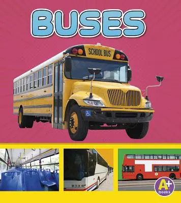 Autobus - Buses