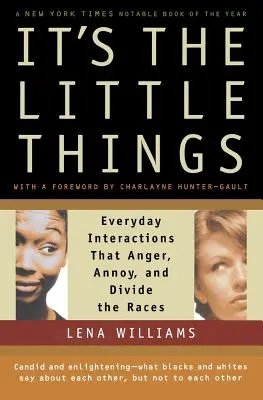 Ce sont les petites choses : Les interactions quotidiennes qui fâchent, agacent et divisent les races - It's the Little Things: Everyday Interactions That Anger, Annoy, and Divide the Races