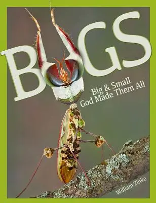 Insectes petits et grands : Dieu les a tous créés - Bugs Big & Small: God Made Them All