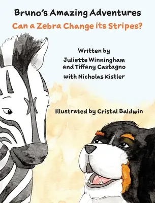 Un zèbre peut-il changer ses rayures ? - Can a Zebra Change its Stripes?