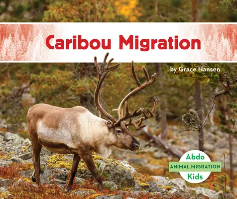 Migration des caribous - Caribou Migration