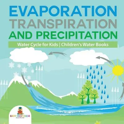 Évaporation, transpiration et précipitations - Le cycle de l'eau pour les enfants - Livres sur l'eau pour les enfants - Evaporation, Transpiration and Precipitation - Water Cycle for Kids - Children's Water Books