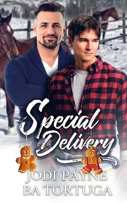 La livraison spéciale : Un roman sur les fêtes de fin d'année - Special Delivery: A Wrecked Holiday Novel