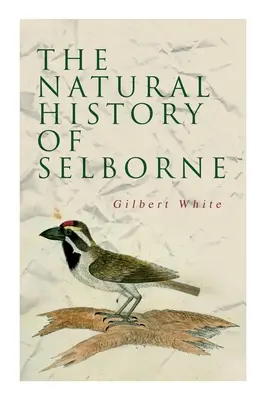 L'histoire naturelle de Selborne - The Natural History of Selborne