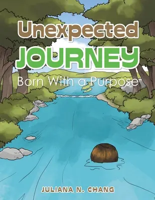 Unxpected Journey : Born with a Purpose - Unexpected Journey: Born with a Purpose