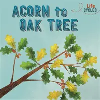 Cycles de vie : Du gland au chêne - Life Cycles: Acorn to Oak Tree