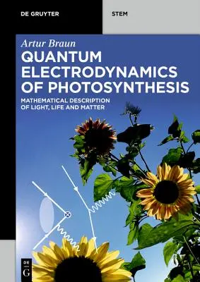 L'électrodynamique quantique de la photosynthèse - Quantum Electrodynamics of Photosynthesis