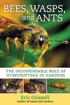 Abeilles, guêpes et fourmis : Le rôle indispensable des hyménoptères dans les jardins - Bees, Wasps, and Ants: The Indispensable Role of Hymenoptera in Gardens