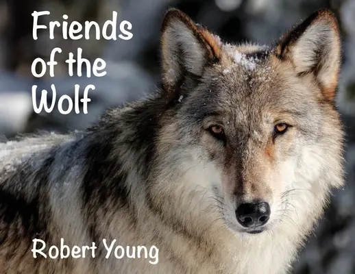 Les amis du loup - Friends of the Wolf