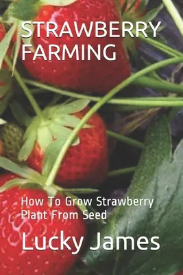 Culture du fraisier : Comment cultiver un fraisier à partir de graines - Strawberry Farming: How To Grow Strawberry Plant From Seed