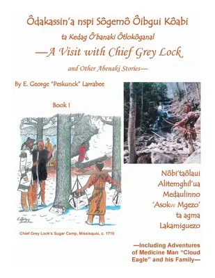 Une visite au chef Grey Lock et autres histoires abénaquises, Livre 1 - A Visit with Chief Grey Lock and Other Abenaki Stories, Book 1