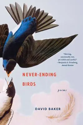 Oiseaux sans fin : Poèmes - Never-Ending Birds: Poems