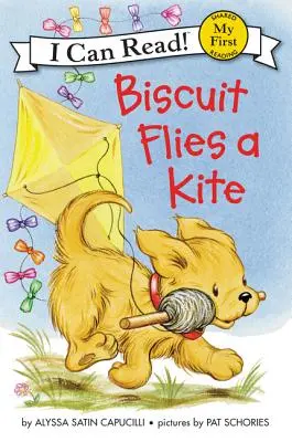 Biscuit fait du cerf-volant - Biscuit Flies a Kite
