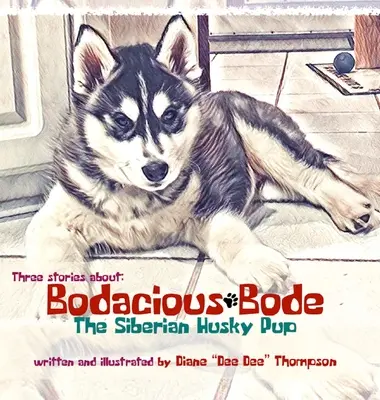 Bodacious Bode - Le chiot Husky Sibérien - Bodacious Bode - The Siberian Husky Pup