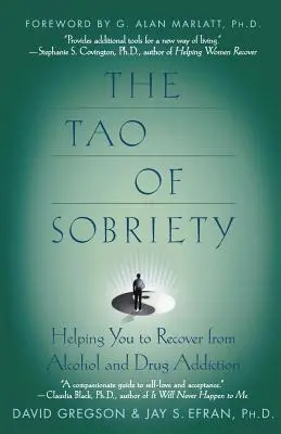 Le Tao de la sobriété : vous aider à guérir de l'alcoolisme et de la toxicomanie - The Tao of Sobriety: Helping You to Recover from Alcohol and Drug Addiction