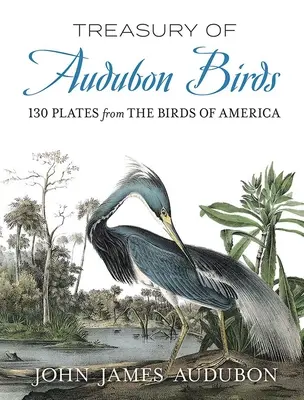 Trésor des oiseaux d'Audubon : 130 planches des oiseaux d'Amérique - Treasury of Audubon Birds: 130 Plates from the Birds of America