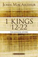 1 Rois 12 à 22 : Le royaume se divise - 1 Kings 12 to 22: The Kingdom Divides