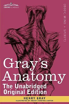 Anatomie de Gray : Descriptive et chirurgicale - Gray's Anatomy: Descriptive and Surgical