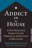 Un toxicomane dans la maison : Un guide familial sans prétention sur l'addiction et le rétablissement - Addict in the House: A No-Nonsense Family Guide Through Addiction and Recovery
