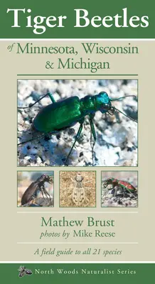 Les cicindèles du Minnesota, du Wisconsin et du Michigan - Tiger Beetles of Minnesota, Wisconsin & Michigan