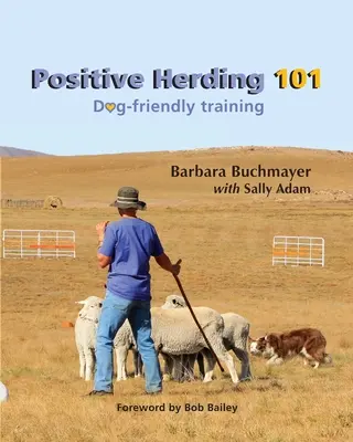 Le dressage positif 101 : un dressage respectueux des chiens - Positive Herding 101: Dog-friendly training