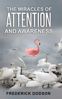 Les miracles de l'attention et de la conscience - The Miracles of Attention and Awareness
