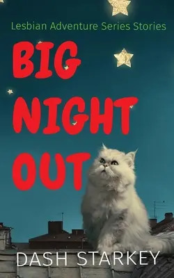 Big Night Out : Histoires de la série Lesbian Adventure - Big Night Out: Lesbian Adventure Series Stories