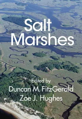 Marais salants : Fonction, dynamique et contraintes - Salt Marshes: Function, Dynamics, and Stresses