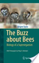 Le buzz autour des abeilles : Biologie d'un superorganisme - The Buzz about Bees: Biology of a Superorganism