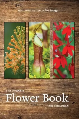 Le livre des fleurs de Burgess avec de nouvelles images en couleurs - The Burgess Flower Book with new color images