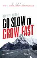 Go Slow to Grow Fast : How to Keep Your Company Driving and Thriving in a Fast-Paced, Competitive Business World (Aller lentement pour croître rapidement : comment garder votre entreprise en mouvement et prospérer dans un monde des affaires concurrentiel et rapide) - Go Slow to Grow Fast: How to Keep Your Company Driving and Thriving in a Fast-Paced, Competitive Business World