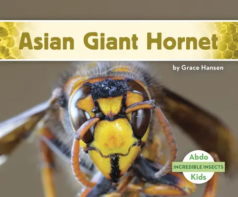 Frelon géant asiatique - Asian Giant Hornet