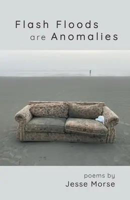 Les crues soudaines sont des anomalies - Flash Floods are Anomalies