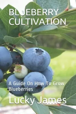 La culture des myrtilles : Un guide sur la culture des myrtilles - Blueberry Cultivation: A Guide On How To Grow Blueberries