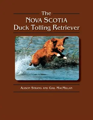 Le Nova Scotia Duck Tolling Retriever (Retriever de canard à péage) - The Nova Scotia Duck Tolling Retriever