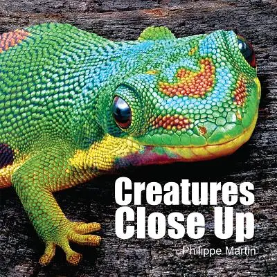 Gros plan sur les créatures - Creatures Close Up