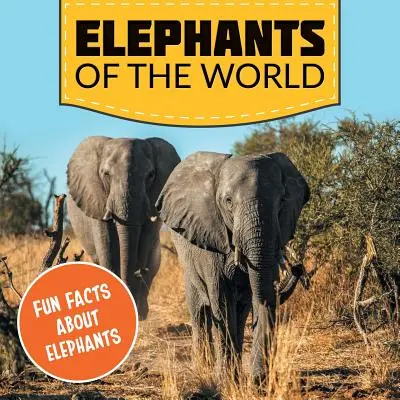 Les éléphants du monde : Faits amusants sur les éléphants - Elephants of the World: Fun Facts About Elephants
