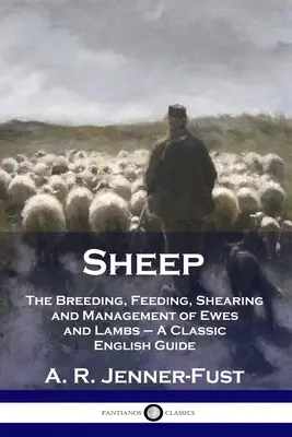 Les moutons : L'élevage, l'alimentation, la tonte et la gestion des brebis et des agneaux - Un guide anglais classique - Sheep: The Breeding, Feeding, Shearing and Management of Ewes and Lambs - A Classic English Guide