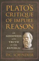 La critique de la raison impure chez Platon : De la bonté et de la vérité dans la République - Plato's Critique of Impure Reason: On Goodness and Truth in the Republic