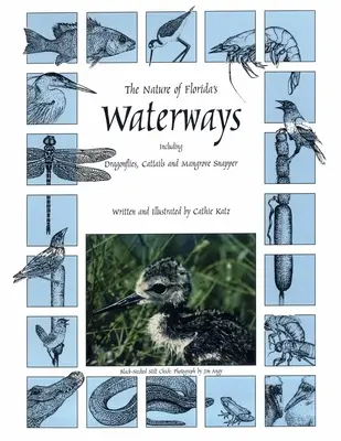 La nature des cours d'eau de Floride : Les libellules, les quenouilles et le vivaneau des palétuviers - The Nature of Florida's Waterways: Including Dragonflies, Cattails, and Mangrove Snapper