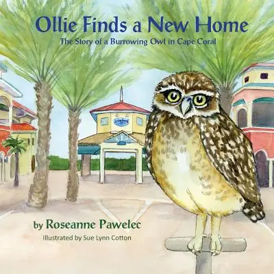 Ollie trouve un nouveau foyer : l'histoire d'une chevêche des terriers à Cape Coral - Ollie Finds a New Home: The Story of Burrowing Owl in Cape Coral